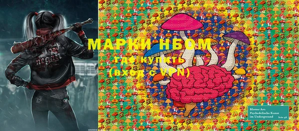 МДПВ Елабуга