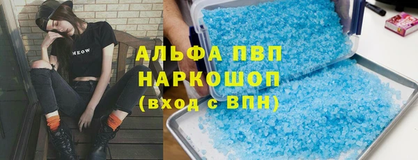 ГАЛЛЮЦИНОГЕННЫЕ ГРИБЫ Дмитриев