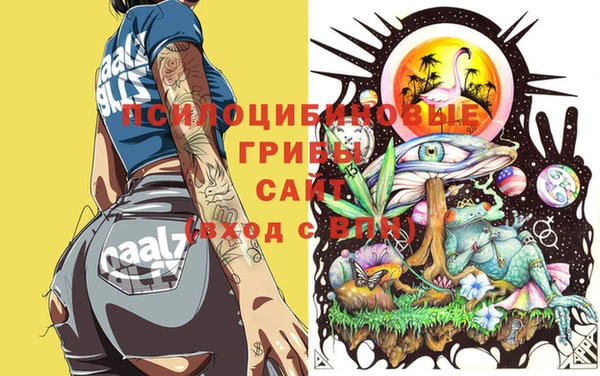 МДПВ Заволжье