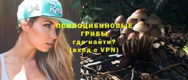 амфетамин Ельня